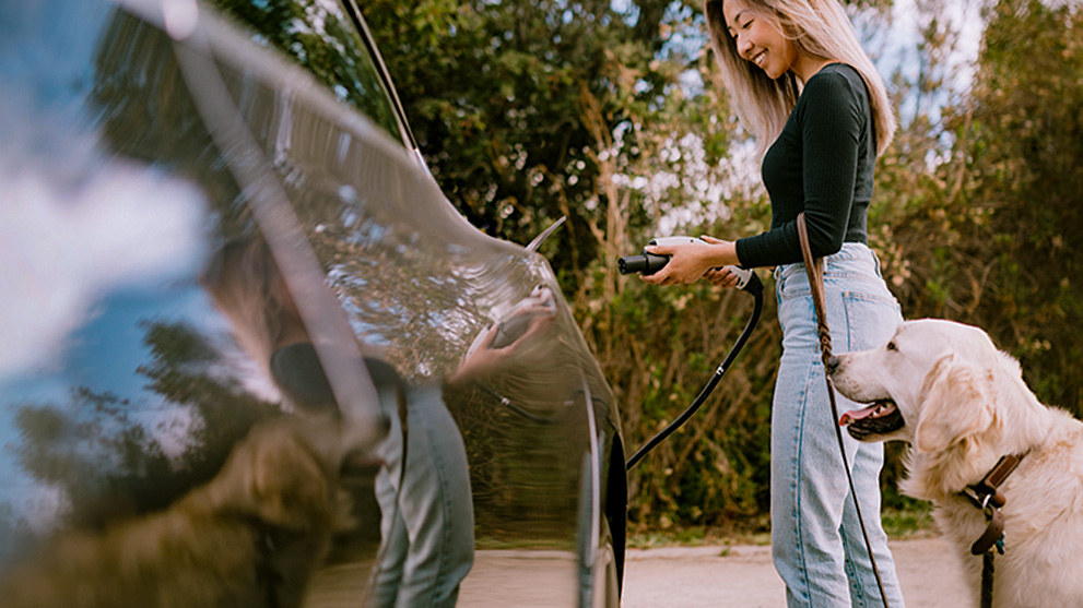 Electric Vehicle Charger Rebate Electric Vehicle Charger Rebate