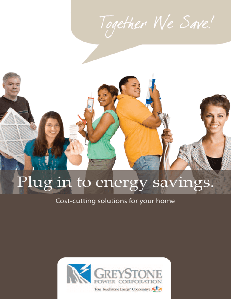 plug-in-to-energy-savings-greystone-power-corporation-powerrebate